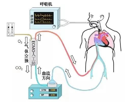 微信图片_20240703095233.jpg