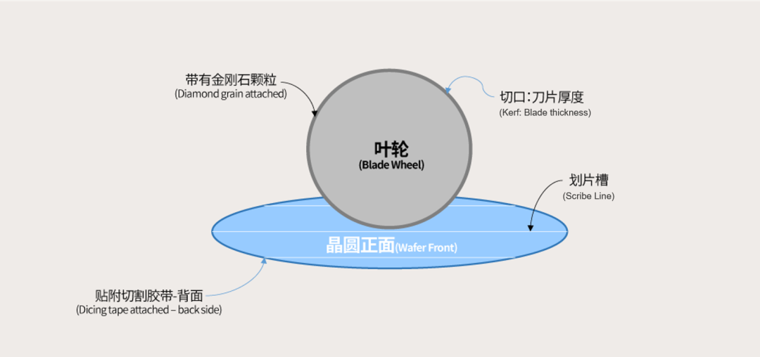 微信圖片_20241127104156.png