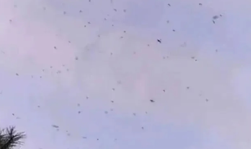 20250626135737.png
